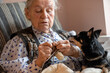 A senior woman with a little dog on her lap sits by the window and knits a warm sock