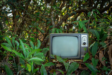 Retro Old Television Set In The Forest Outdoor