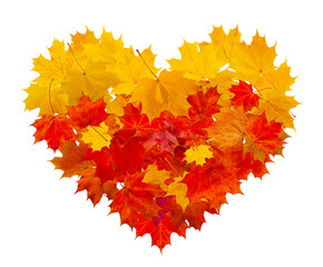 Wall Mural - Stylized heart made from leaves isolated on white. Bright stylized heart made of maple leaves.