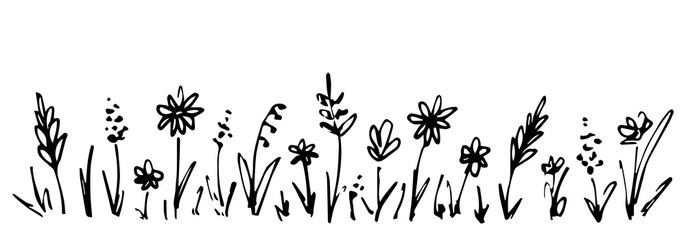 Wall Mural - Hand drawn simple vector drawing in black outline. Wild meadow grasses, flowers, spikelets, chamomile, inflorescences. Floral lawn, plants, landscape and nature. Ink sketch.