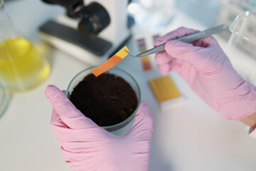 Hands hold litmus over a soil sample with tweezers, close-up