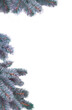 Winter Christmas tree branches, covered with hoarfrost, with needles, hand-drawn. Digital illustration