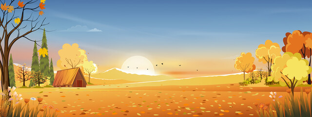 Autumn rural landscape in evening light with sunset, blue and orange sky background,Vector Cartoon fall season at countryside with forest tree and grass field with sunrise,Backdrop natural banner