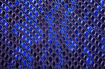 Wall Mural - Blue snake skin. Animal leather texture use for background.