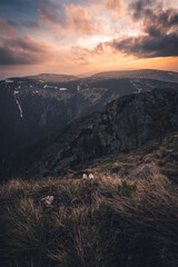 Fototapete - Sunset from the highest Czech mountain Snezka