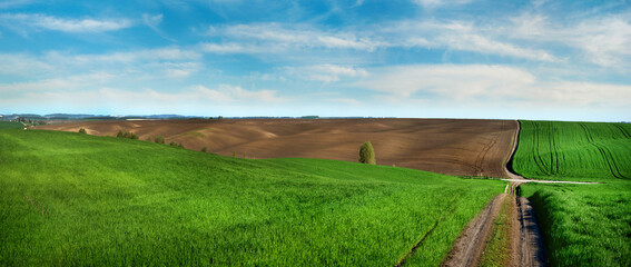 Fotomurales - plowed lands with green winter wheat, dirty road at spring field relief hilly landscape in the background