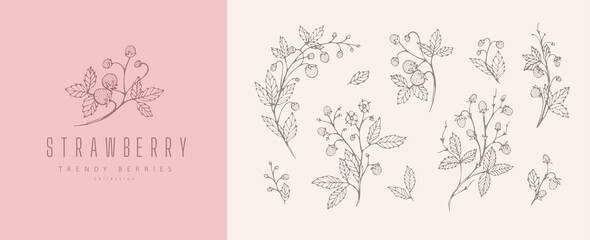 Wall Mural - strawberries floral branch flowers and logo set. hand drawn line herb, elegant leaves for invitation