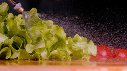 MACRO: Water is sprayed over green lettuce sitting on wooden chopping board.