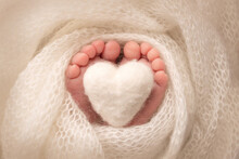 The Tiny Foot Of A Newborn Baby. Soft Feet Of A New Born In A White Wool Blanket. Close Up Of Toes, Heels And Feet Of A Newborn. Knitted White Heart In The Legs Of A Baby. Macro Photography. 