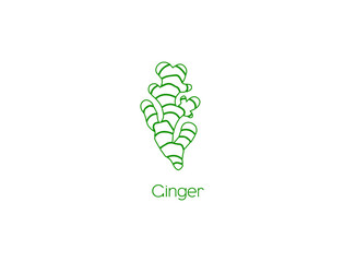 Poster - Ginger spices icon vector illustration 