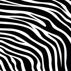 Wall Mural - Trendy zebra skin pattern background vector. Animal fur, vector background for Fabric design, wrapping paper, textile and wallpaper.
