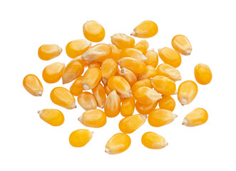 Wall Mural - Raw corn grains isolated on white background, dry sweetcorn, top view