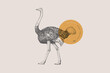 Hand-draw of a walking ostrich on a light background. Bird in vintage engraving style. Vector retro illustration.