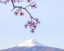 Minimalist Mount Fuji 
