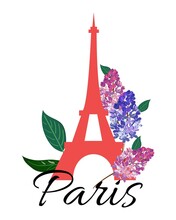 Eiffel Tower With Lilac Flowers On White Background. . Vector Illustration