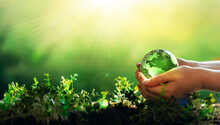 Environment Day, Save Clean Planet, Ecology Concept. Earth Day.Hand Holding Crystal Earth Globe.Renewable Energy-based Green Businesses Can Limit Climate Change And Global Warming.