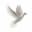 Illustration of a white pigeon in digital style