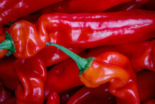 Pile Of Sweet Pointed Red Peppers, Known As Ramiro Or Romano, On A Market Stall