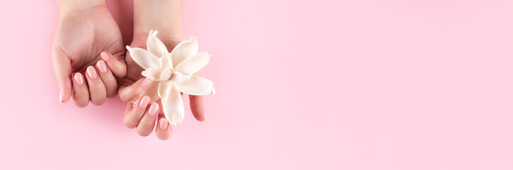 Wall Mural - Female hands with beautiful natural manicure - pink nude nails with white dried flower on pink background. Nail care header. Wide screen, panoramic web banner with copy space for design