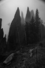 A Grayscale Shot Of Standing Narrow And Long Rocks And Trees