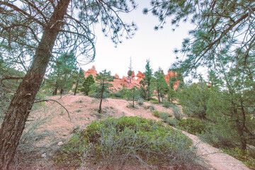 Poster - Mossy Cave Trail at sunset, Bryce Canyon National Park in summer season.