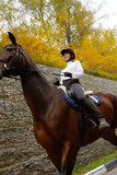 Fototapeta Konie - Beautiful brunette on a horse on the background of an autumn landscape. Horseback riding, active horseback riding