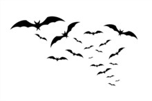 Happy Halloween. Bats Fly In The Sky. A Flock Of Bats Flying On A White Background 