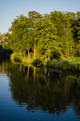 Wall Mural - Wald Fluss Sommer