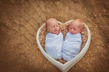 Twins. The Large Family. Brothers. Newborn Babies. Boys. Newborn Twins In The Heart On The Lake. Happy Family. Sweet Babies. Summer Day. Newborn Babies In A Tub On The  Sand Newborn Twins In Nature.