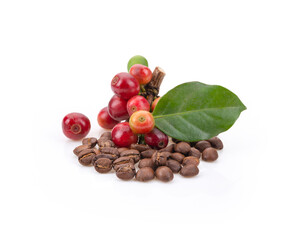 Sticker - Roasted coffee bean and fesh coffee bean on white background