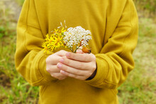 Crop Child With Small Bouquet Of Field Flowers On Nature
