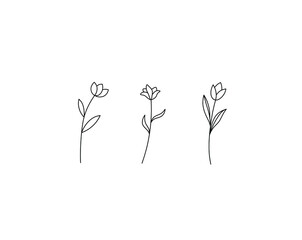 Wall Mural - Vector isolated flover minimalism set of three tiny simple flowers colorless black and white line doodle