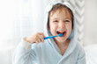 © Iryna Dincer - Morning routine, smiling happy child brushing teeth with toothbrush. Dental hygiene of little boy, medical care.