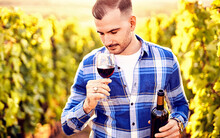 Portrait Of A Young, Millennial Vintner Holding And Smelling A Glass Of Organic Bio Red Wine Outdoors In A Vineyard - Vine-growing, And Wine-tasting Outdoor Lifestyle Concept