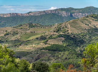 Wall Mural - Montsant mountain range views. Priorat, Catalonia (Spain).