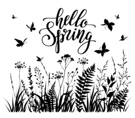 Wall Mural - Hello spring illustration with meadow herbs and flying butterflies.