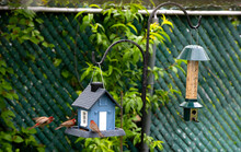 Birdhouse And Bird Feeder