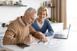© brizmaker - Inspirated retired couple dealing with utility bills payment