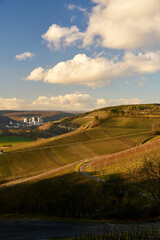  Landschaft und Weinberge zwischen Himmelstadt am Main und Stetten mit Blick in das Maintal am Abend, Landkreis Main-Spessart, Unterfranken, Bayern, Deutschland