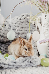 Wall Mural - easter bunny in a basket