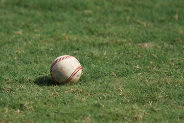 Wall Mural - Selective closeup of a baseball