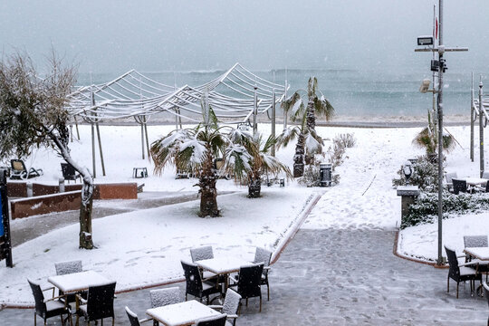 Heavy snowfall on the Mediterranean coast. Antalya, Turkey. Palms, ficuses and green plants are covered with snow. Beaches and cafes are empty.