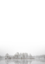 A Vertical Shot Of A Frozen Lake In A Forest Covered In The Fog In Winter