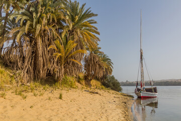 Wall Mural - Felucca sail boat at the river Nile, Egypt