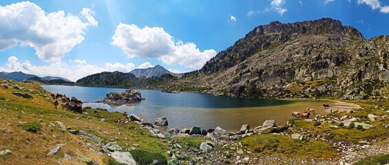 Wall Mural - Caballos en el lago de Montmalus (Encamp - Andorra)