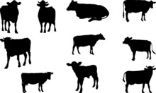 Cow Silhouettes PNG SVG EPS Cow Vector Cow Clipart