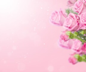 Poster - Blurred background with rose of pink color. Can be used for wallpaper, wedding card, web page banner