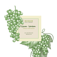 Wall Mural - Minimalistic natural label design with sketch grapes, vector brand identity for package, badge, card. Engraved vintage illustration of grapes bunches. 