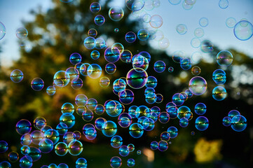 Poster - A closeup shot of soap bubbles in a park