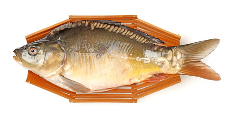 Poster - Raw fish carp on white background 